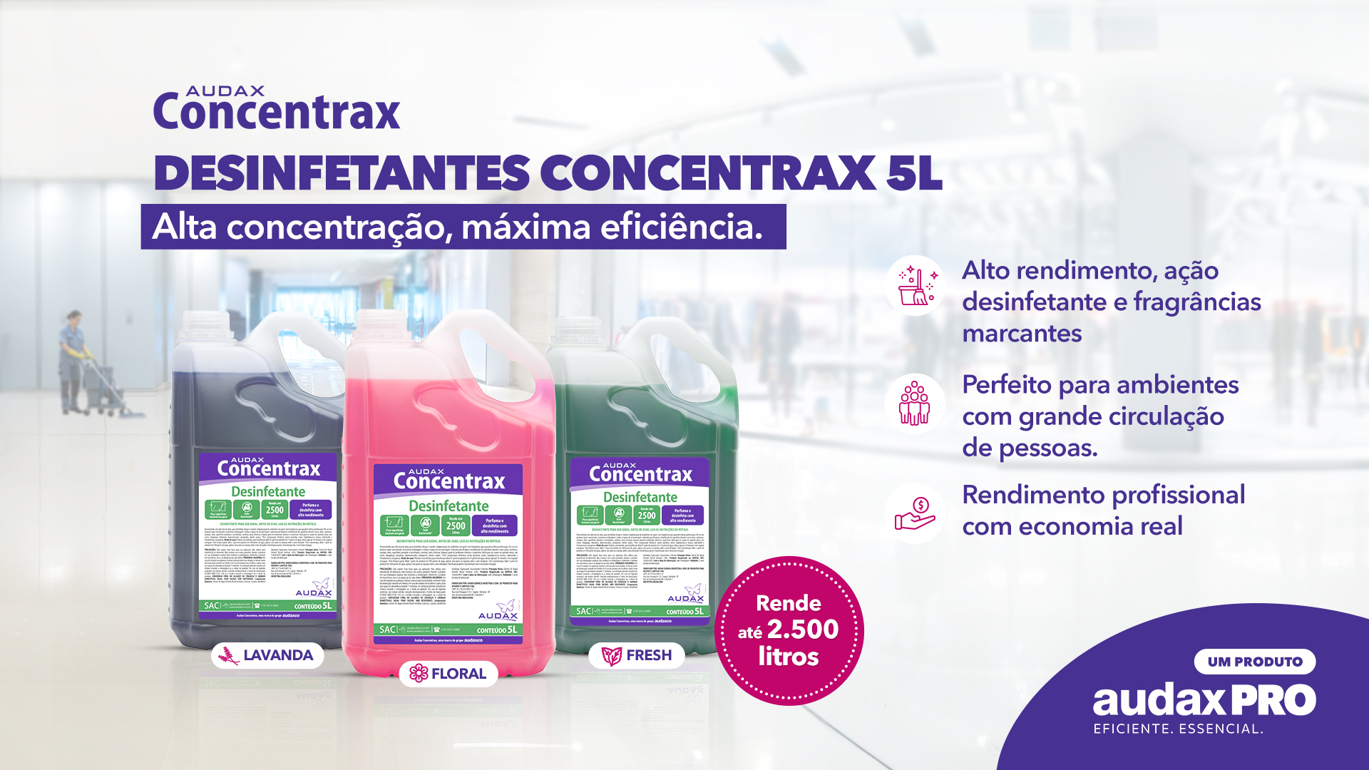 Produto Audax Concentrax Desinfetante